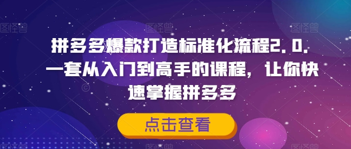 拼多多爆款打造标准化流程2.0，一套从入门到高手的课程，让你快速掌握拼多多-88共享