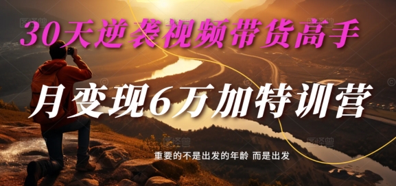 30天逆袭视频带货高手，单月变现6万加特训营-麦子甜-88共享