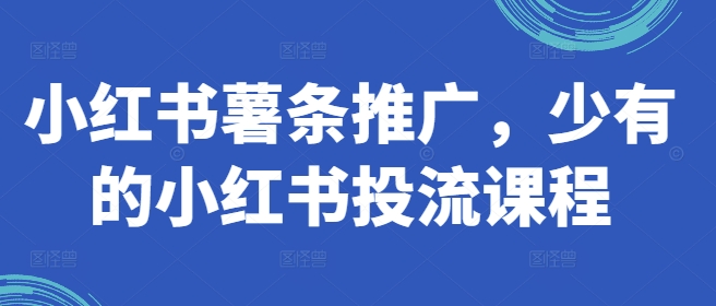 小红书薯条推广，少有的小红书投流课程-88共享