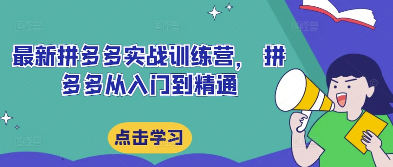 最新拼多多实战训练营， 拼多多从入门到精通-88共享
