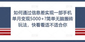如何通过信息差实现一部手机单月变现5000+?简单无脑搬砖玩法,快看看适不适合你【揭秘】-88共享