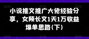 小说推文推广大佬经验分享,女频长文1天1万收益爆单思路(下)-88共享