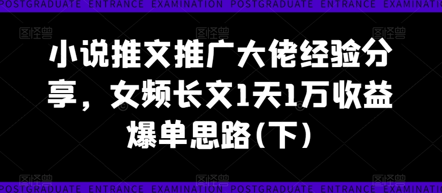 小说推文推广大佬经验分享，女频长文1天1万收益爆单思路(下)-88共享