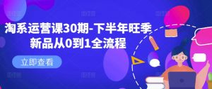 淘系运营课30期-下半年旺季新品从0到1全流程-88共享