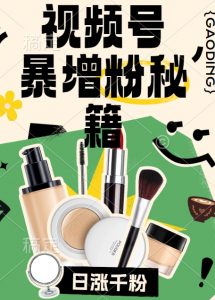 视频号涨粉方法，暴力起号，一天涨粉1000+，当天开橱窗【揭秘】-88共享