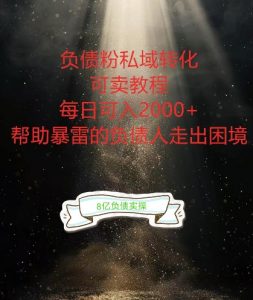 负债粉掘金计划,帮助负债者解决问题,债务规划,债务重组,最好的变现方式【揭秘】-88共享
