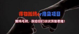 得物搬砖撸货项目?掰下数据,我给你们说说顶层思维【揭秘】-88共享