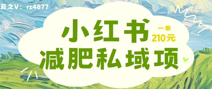 小红书减肥粉，私域变现项目，一单就达210元，小白也能轻松上手【揭秘】-88共享