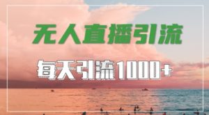 抖音快手视频号全平台通用，无人直播引流法，超暴力引流1000+高质量精准创业粉【揭秘】-88共享