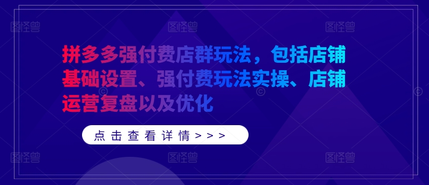 拼多多强付费店群玩法，包括店铺基础设置、强付费玩法实操、店铺运营复盘以及优化-88共享