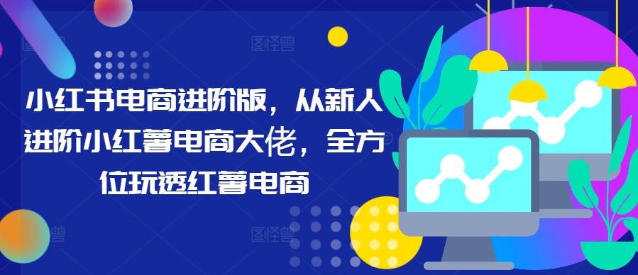 小红书电商进阶版，从新人进阶小红薯电商大佬，全方位玩透红薯电商-88共享