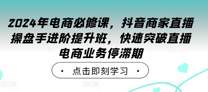 2024年电商必修课，抖音商家直播操盘手进阶提升班，快速突破直播电商业务停滞期-88共享