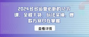 2024多多运营必听的12节课,全程干货,玩法实操,爆款方案尽在掌握-88共享
