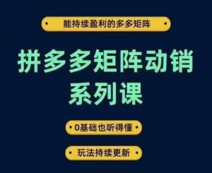 拼多多矩阵动销系列课，能持续盈利的多多矩阵，0基础也听得懂，玩法持续更新-88共享