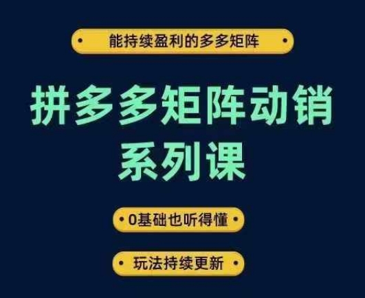 拼多多矩阵动销系列课，能持续盈利的多多矩阵，0基础也听得懂，玩法持续更新-88共享