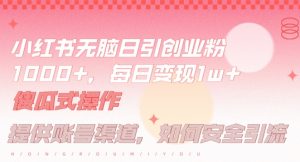 小红书无脑每日引流创业粉500+,小白每天只花半小时,躺赚长尾收益【揭秘】-88共享