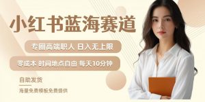 小红书蓝海赛道,圈中高端职场人,月入无上限,可矩阵,内含私域实操教程!-88共享