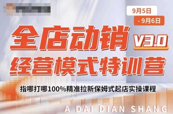 全店动销经营模式特训营，指哪打哪100%精准拉新保姆式起店实操课程-88共享