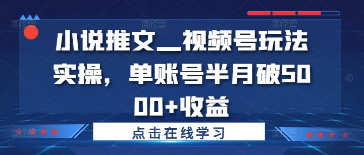 小说推文—视频号玩法实操，单账号半月破5000+收益-88共享