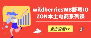 wildberriesWB野莓/OZON本土电商系列课,掌握WB产品优化,出单技巧和订单处理等-88共享