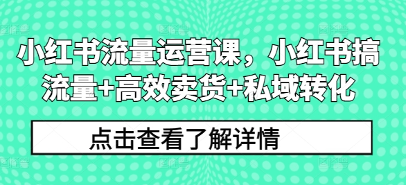 小红书流量运营课，小红书搞流量+高效卖货+私域转化-88共享