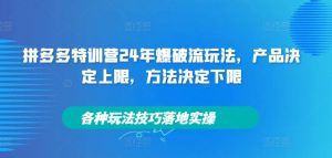 拼多多特训营24年爆破流玩法,产品决定上限,方法决定下限,各种玩法技巧落地实操-88共享