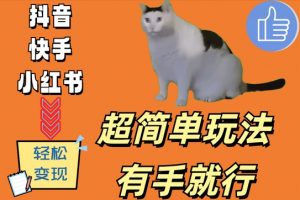 超简单玩法,有手就行,靠猫咪视频日入500+【揭秘】-88共享