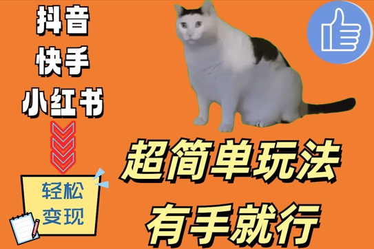 超简单玩法，有手就行，靠猫咪视频日入500+【揭秘】-88共享