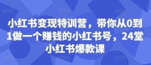小红书变现特训营,带你从0到1做一个赚钱的小红书号,24堂小红书爆款课-88共享