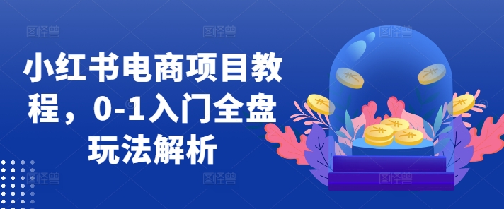 小红书电商项目教程，0-1入门全盘玩法解析-88共享