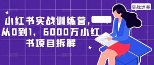 小红书实战训练营,从0到1,6000万小红书项目拆解-88共享