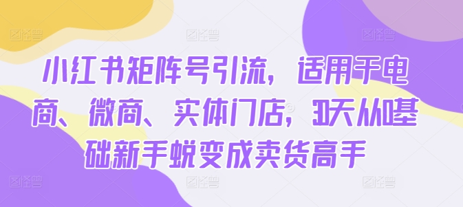 小红书矩阵号引流，适用于电商、微商、实体门店，30天从0基础新手蜕变成卖货高手-88共享