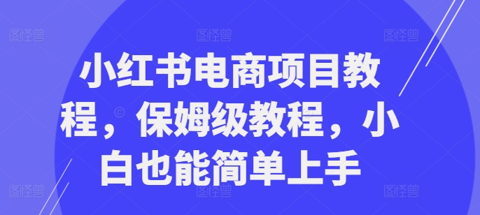 小红书电商项目教程，保姆级教程，小白也能简单上手-88共享