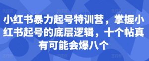 小红书暴力起号特训营,掌握小红书起号的底层逻辑,十个帖真有可能会爆八个-88共享