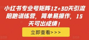 小红书专业号矩阵12+30天引流陪跑训练营,简单易操作,15天可出成绩!-88共享