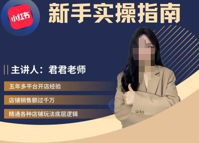 君君-小红书电商从入门到精通，新手实操指南-88共享