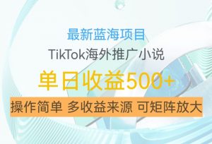 最新蓝海项目,利用tiktok海外推广小说赚钱佣金,简单易学,日入500+,可矩阵放大【揭秘】-88共享