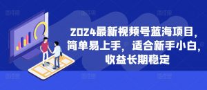 2024最新视频号蓝海项目,简单易上手,适合新手小白,收益长期稳定-88共享