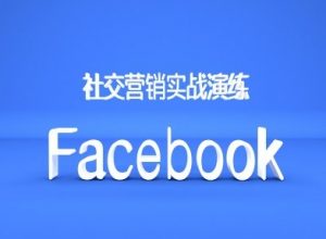 Facebook社交营销实战演练,外贸人绝对不能错过的营销推广平台-88共享