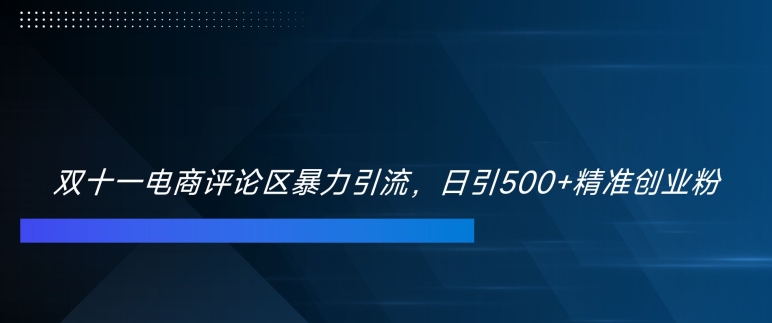双十一电商评论区暴力引流，日引500+精准创业粉【揭秘】-88共享