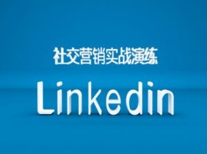 社交营销实战演练之Linkedin营销课程,B2B跨境外贸的新出路-88共享