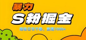 单人单机日引千粉，变现1k+，S粉流量掘金计划攻略【揭秘】-88共享