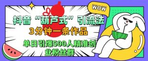 抖音葫芦式引流法,三分钟一条作品,单日引爆抖音500人精准创业粉丝群【揭秘】-88共享