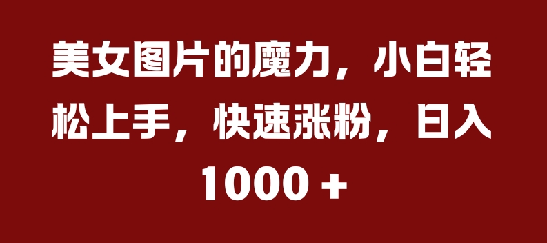 美女图片的魔力，小白轻松上手，快速涨粉，日入几张【揭秘】-88共享