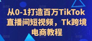 从0-1打造百万TikTok直播间短视频,Tk跨境电商教程-88共享