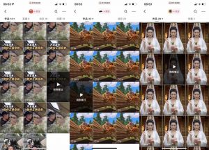 狗熊岭快手连怼技术，好物，涨粉都可以连怼-88共享