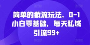 简单的截流玩法,0-1小白零基础,每天私域引流99+【揭秘】-88共享