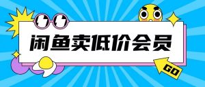 外面收费998的闲鱼低价充值会员搬砖玩法号称日入200+-88共享