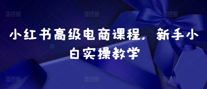 小红书高级电商课程，新手小白实操教学-88共享