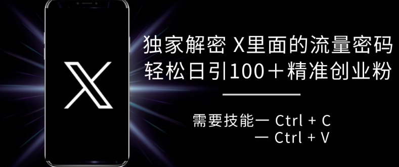 独家解密 X 里面的流量密码，复制粘贴轻松日引100+-88共享